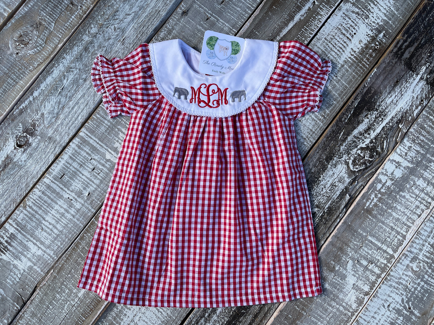 Girl, Monogrammed Alabama Dress, Bishop Dress, University of Alabama Dress, Alabama Girl, Game Day Outfit, Roll Tide, Red Gingham Dress