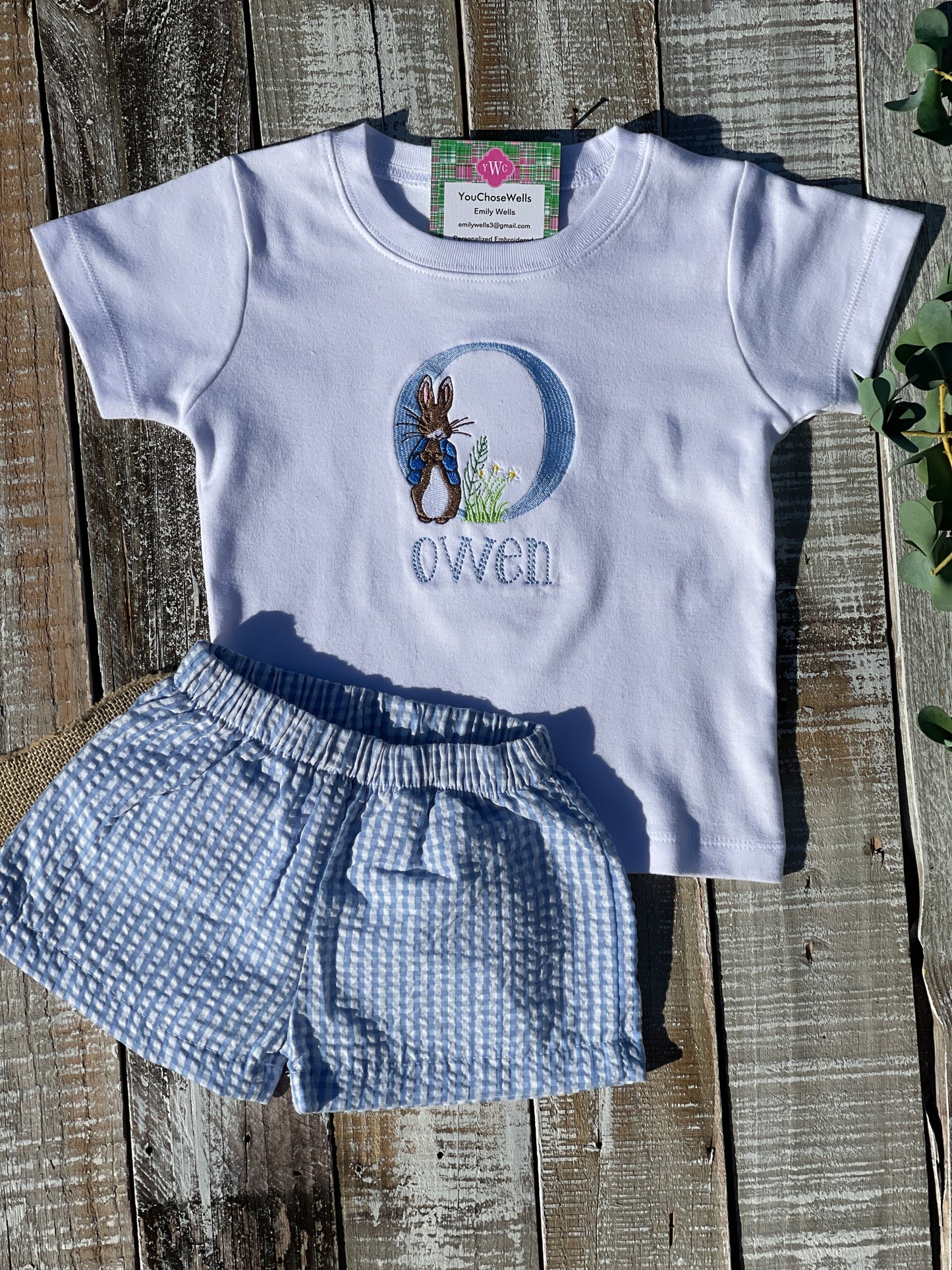 Custom Embroidered, Monogrammed, Personalized Peter Rabbit Letter Shirt and Blue Seersucker Gingham Short Set