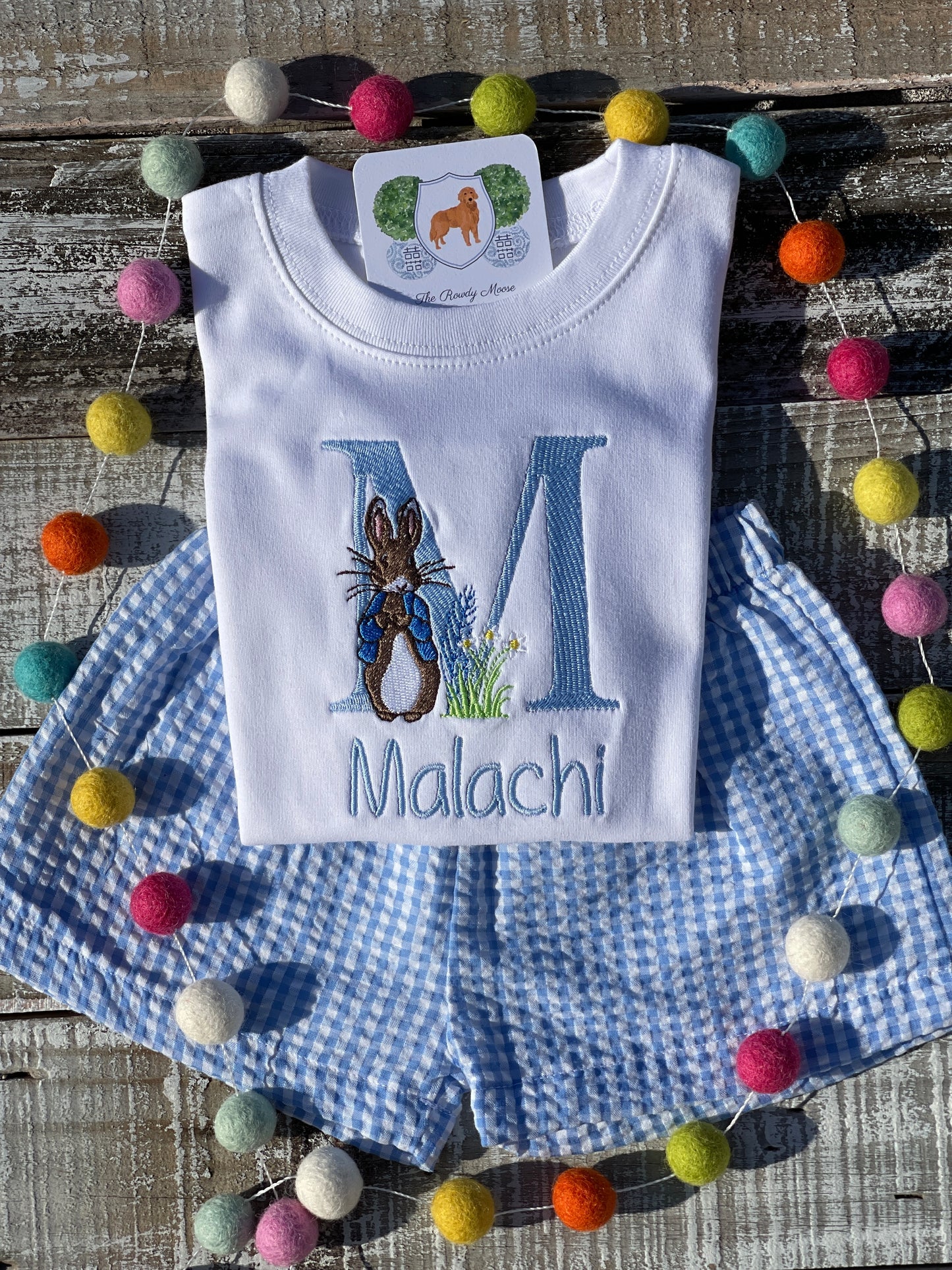 Custom Embroidered, Monogrammed, Personalized Peter Rabbit Letter Shirt and Blue Seersucker Gingham Short Set