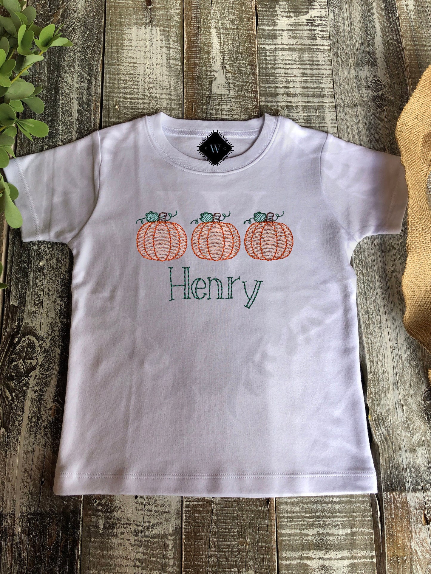 Custom Embroidered, Monogrammed, Personalized Pumpkin Trio Sketch Shirt and Orange Gingham Pant Set